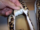 VANS CLASSIC OFF THE WALL LEOPARD PRINT SLIP ON SHOES WOMENS SIZE 8.5 PRE-OWNED — photo 7