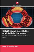 Lena Schmidlechner | CalcificaçãO De CéLulas Endoteliais Humanas | Taschenbuch