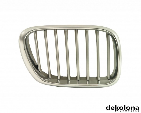Frontgitter KüHlergrill FüR BMW X5 Rechts Vorne 00-06-image
