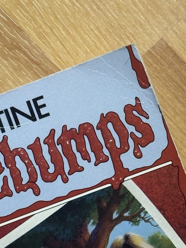 Goosebumps #4 UNNUMBERED Say Cheese And Die, Actual 1st Print, VG, R.L Stine - Picture 7 of 10