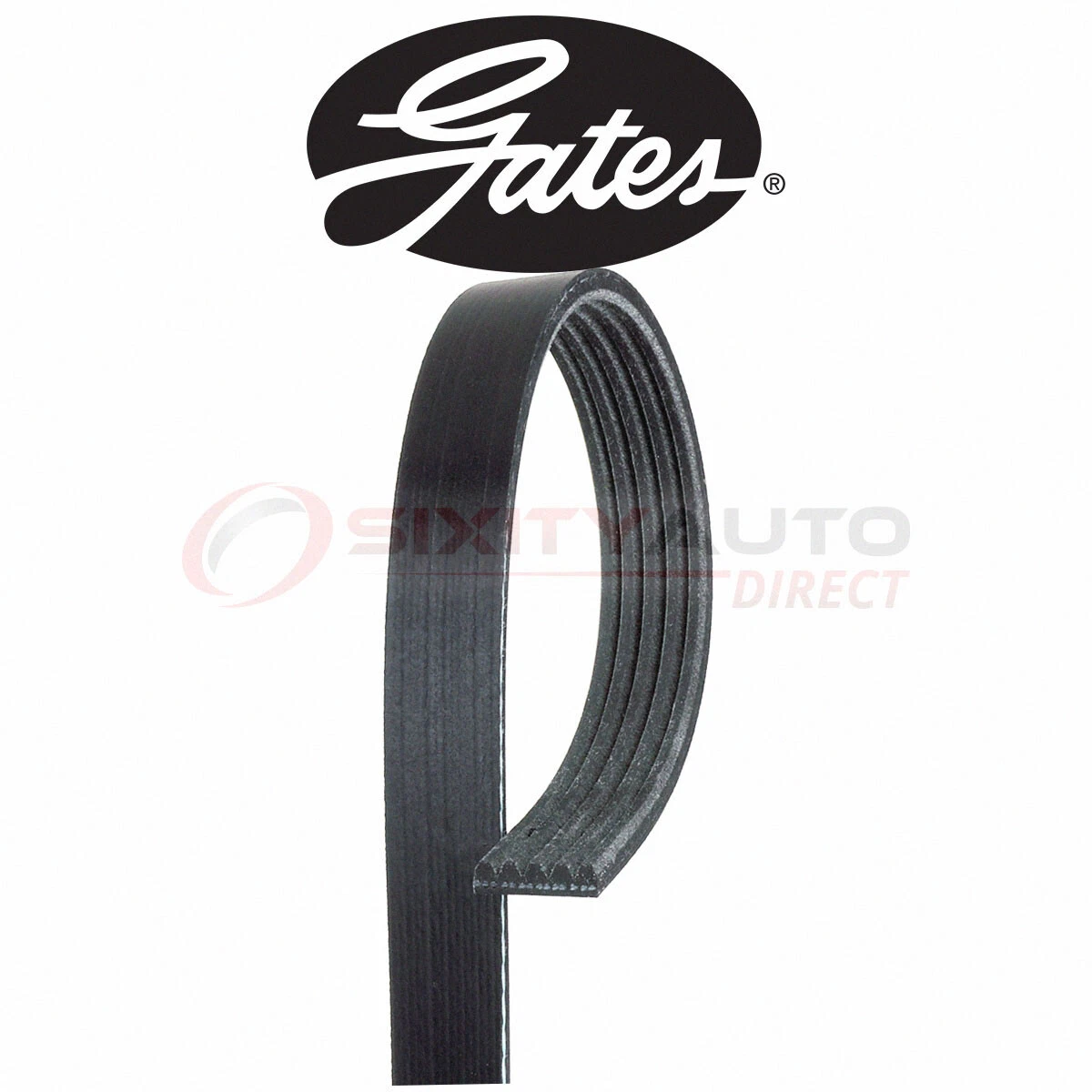 Gates Micro-V K050429 Serpentine Belt for PK050429 MZ690245 