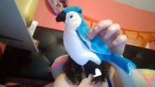 RARE RETIRED Ty Rocket The Blue Jay Beanie Baby Plush Toy 1998