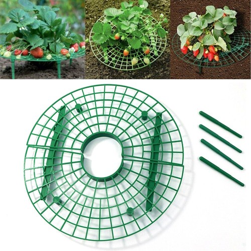 10 Supporti Per Fragole Da Giardino - Telaio Quadrato Con 4 Gambe, In Plastica Verde, 20x25x9.5 Cm, Antimarciume - 3