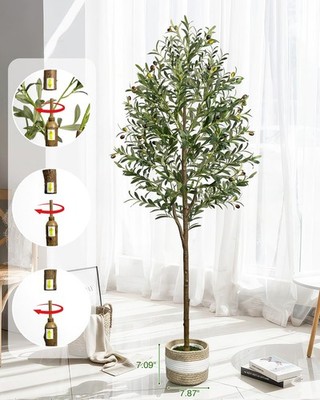 6FT Artificial Olive Tree - Indoor Tall Faux Olive Trees with  Planter&Basket,... | eBay