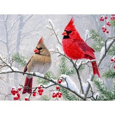 FHBUBPUP Diamond Art Painting Kits for Adults, 16x12 inches, Cardinal 2