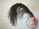 Foto 3 di 14