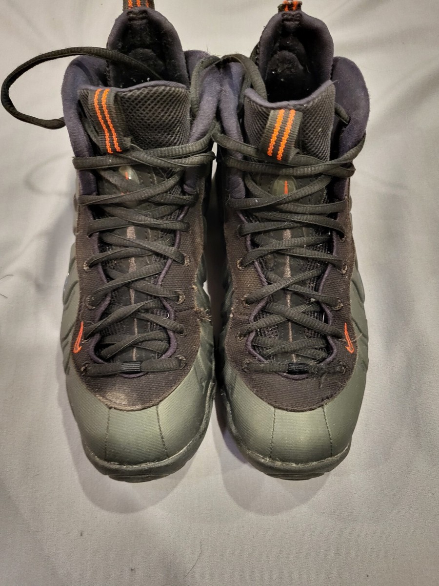 Nike Air Foamposite Pro GS  display picture 1