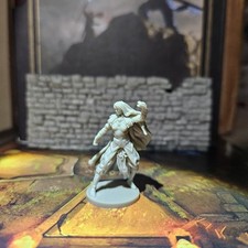 Human Elf Monk Wizard Warlock Miniature Dungeons  Dragons DND Pathfinder