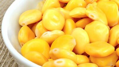 RIESEN FRISCHE LUPINEN ERSTE QUALITÄT FÜR APERITIF BAR RESTAURANT FUSAGLIE 5 KG