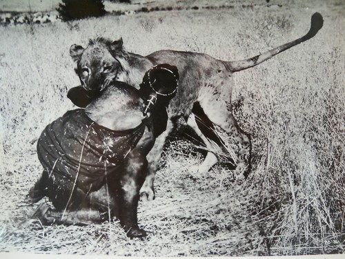 1953 BWANA DEVIL Original Movie Photograph for Newspapers - Picture 2 of 6