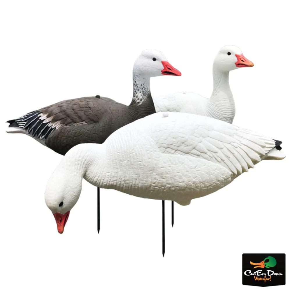 White Rock EVAC Goose Decoys