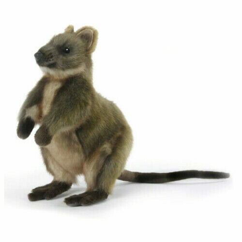 hansa animals