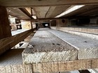 Bild 8 von 9