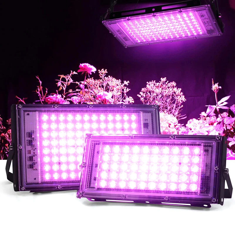 Panel sale grow light