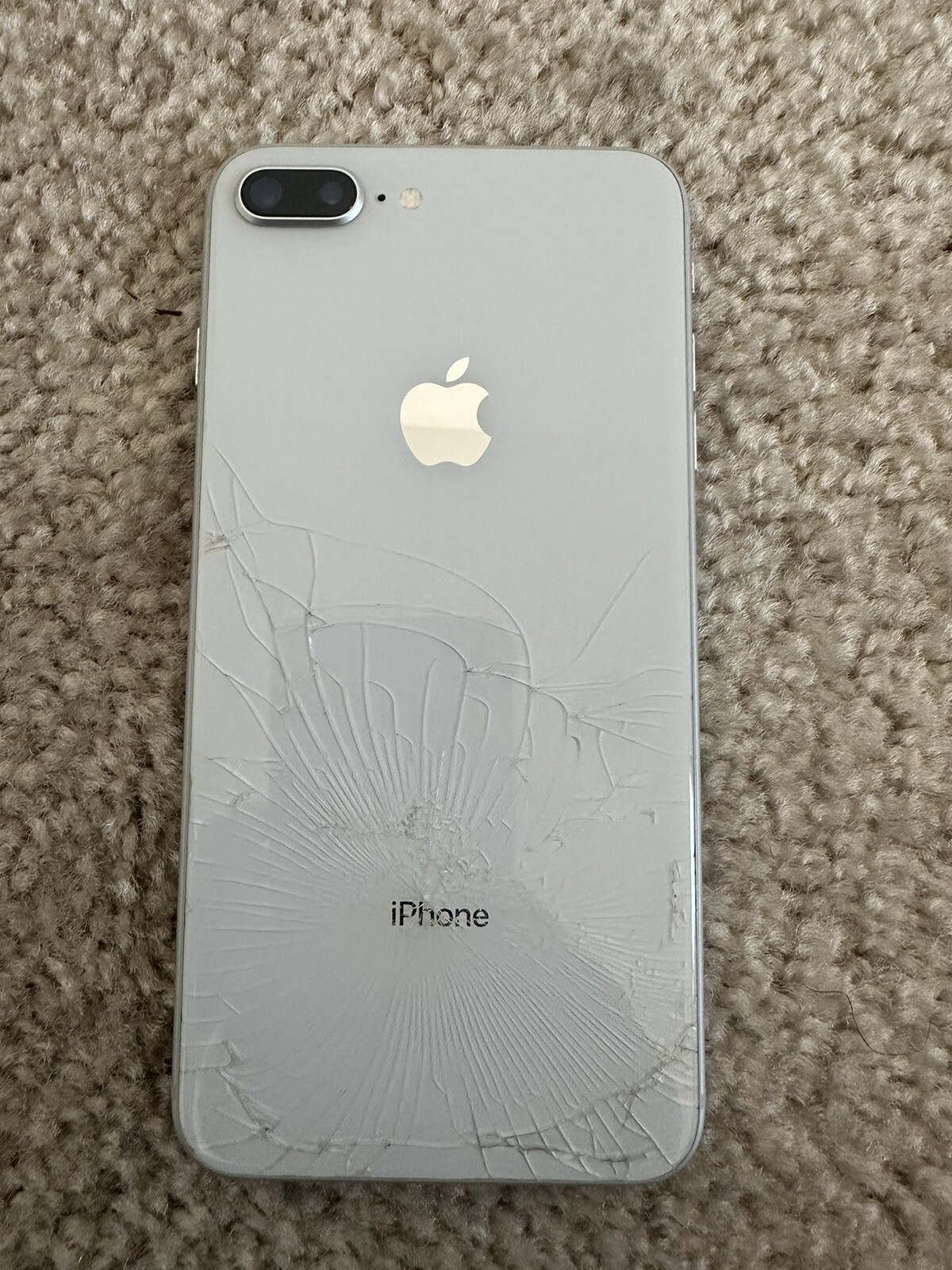 Foto 2 di 2