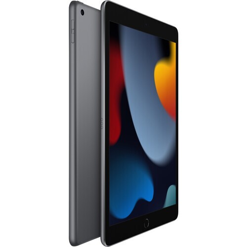 Apple iPad 9th Gen 10.2-inch (Wi-Fi Only/64GB/Gray/iPadOS/MK2K3LL