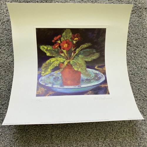 Nel Whatmore Red Primula Lithographie Limited Edition 464/500 signiert mit COA
