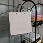 Chanel White Fine Jewellery Paper Carrier/ Gift Bag