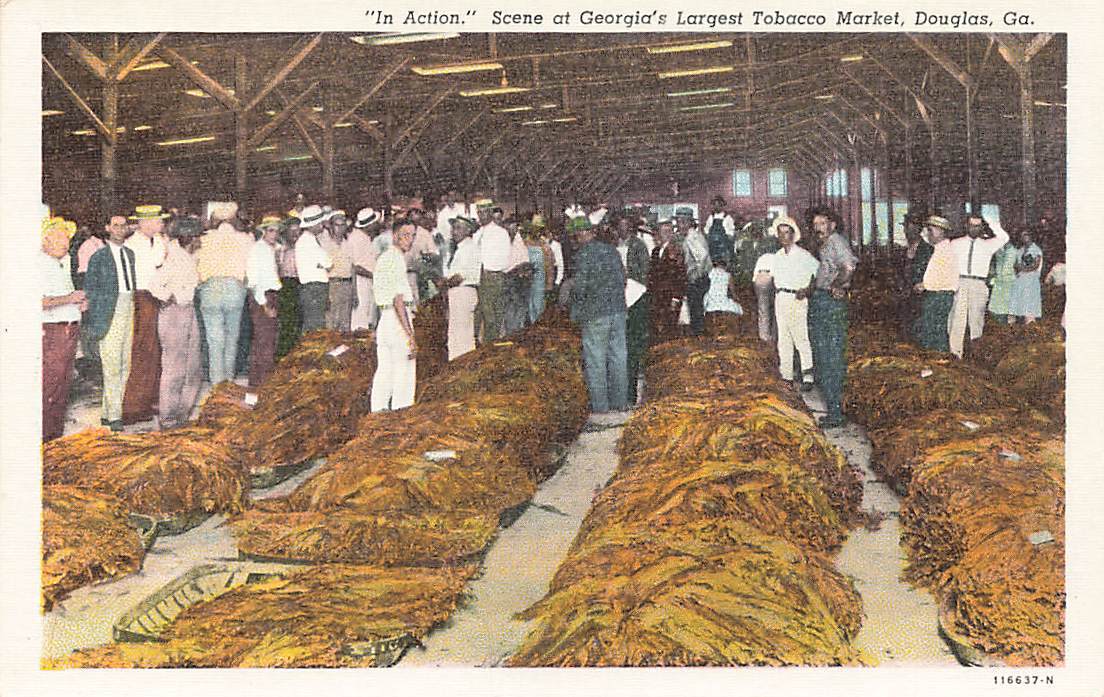 douglas tobacco Douglas Gaskin Obituary (1961 - 2018) cedar and tobacco bloom. Douglas Split Tobacco FH785739 Vinyl