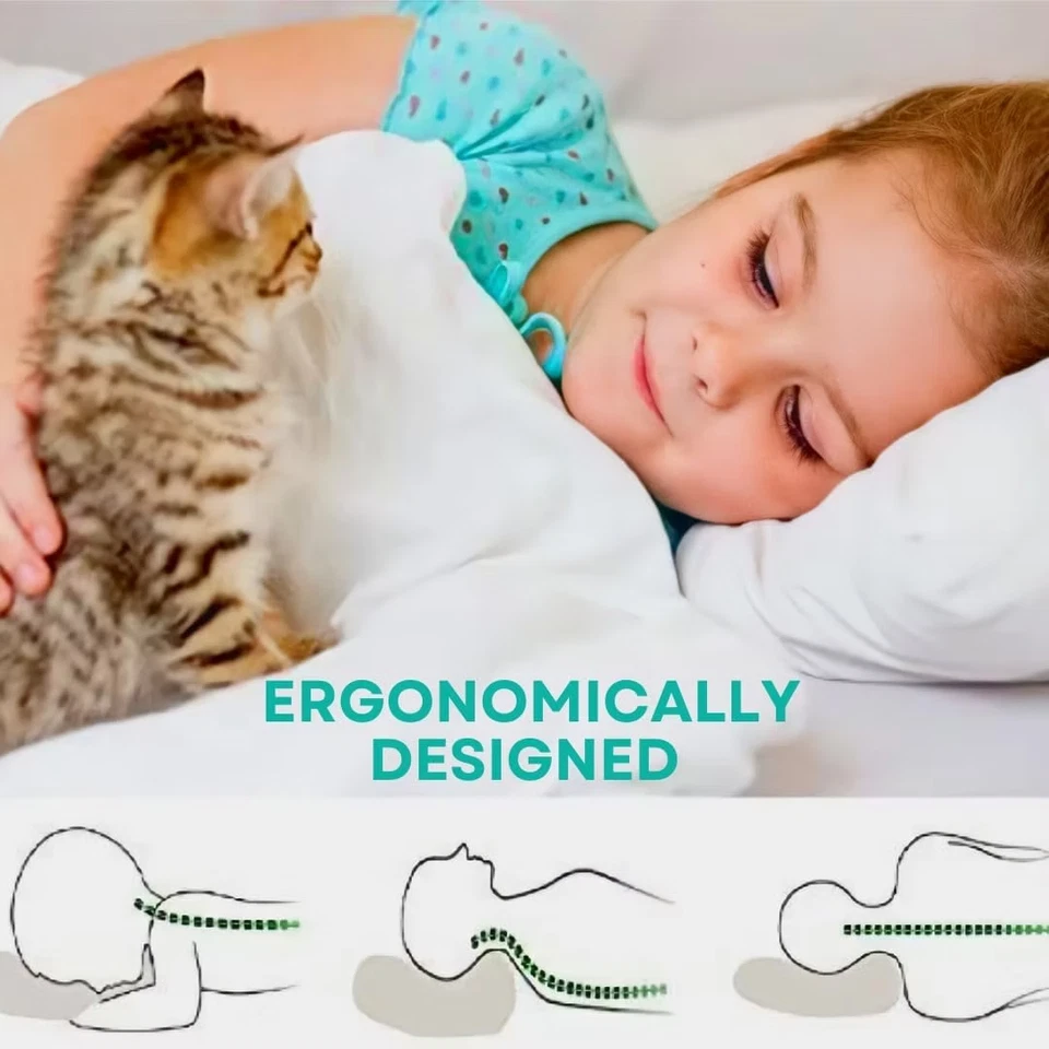 DOS (2) almohadas para niños pequeños 13x18 - 300T algodón y plumón - almohadas suaves para cama para niños Foto 2 de 4