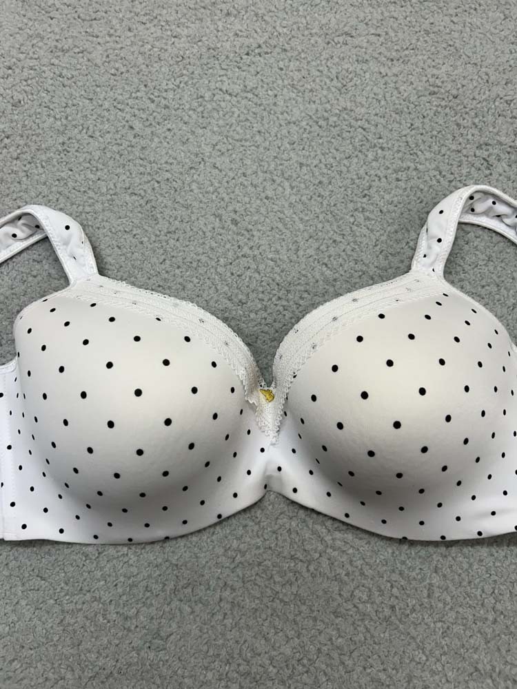 Ashley Stewart Bra 40D T-Shirt Bra Butterfly