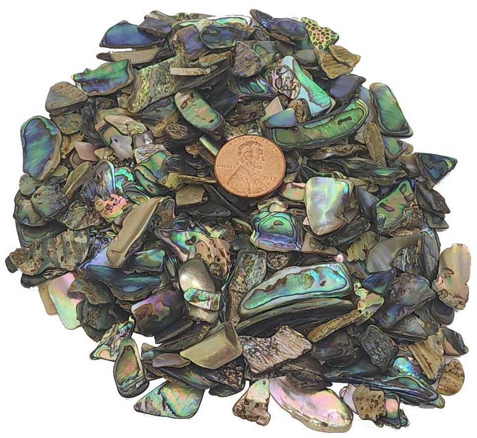 10 Pounds Of Genuine Abalone Shell Pieces For Jewelry Making, Mosaics, Or Beach Wedding Decor | Naturally Surf-Polished From The Mendocino Coast-720892