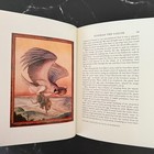Foto 6 di 9