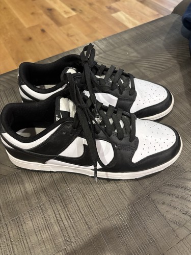Nike Dunk Low Retro Tennis Shoes