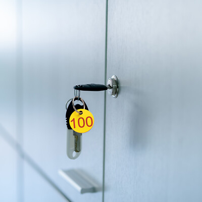 NanTun 23mm Roestvrij Staal Nummer Tags 100Pcs, Key Met Ringen Voor Nummers 1 Tot 100 1873163699