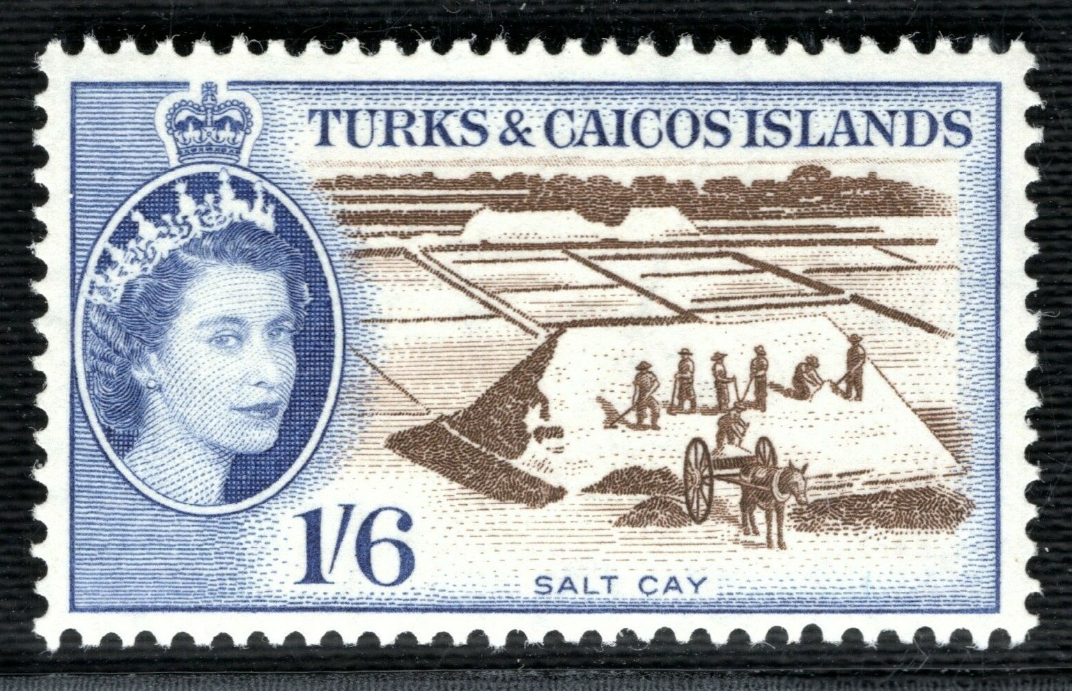 Foto 1 di 7