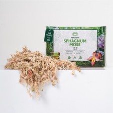 Peruvian Sphagnum Moss, 500 gr/1.1 lb, 3A premium long fiber,  JUST ARRIVED  