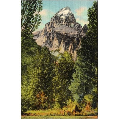 Vista Of The Massive Grand Teton Jackson Hole WY Vintage Postcard SPO3