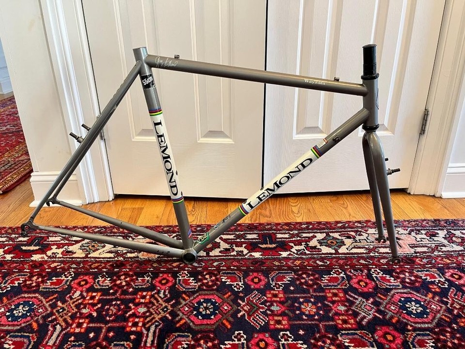 Lemond Wayzata 55cm Steel frame(Poprad geo) Funky derailleur hanger