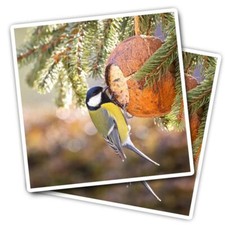 2x Vinyl Stickers Great Tit Small Garden Bird at Feeder #51072