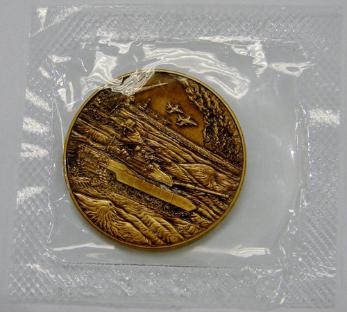 Persian Gulf Veterans National Medal - Bronze, 38mm - Picture 2 of 2