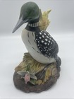 Gorgeous, Vintage Ezra Brooks 1979 Common Loon Decanter Empty — photo 2