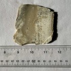 OREGON STINKING WATER PLUME AGATE SLAB ~58 grams / rough jasper mineral rock cab — photo 10