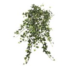 Vickerman 26" Fabric Artificial Variegated Mini Ivy Hanging Bush in Green