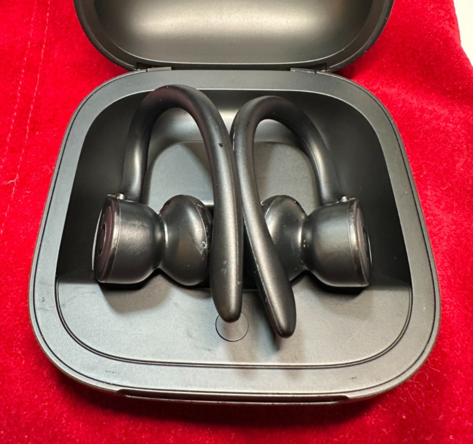 Beats by Dr. Dre Powerbeats Pro In Ear Wireless Headphones - Black