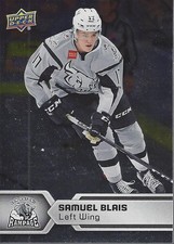 B6540- 2017-18 Upper Deck AHL Hockey Einsatz ...