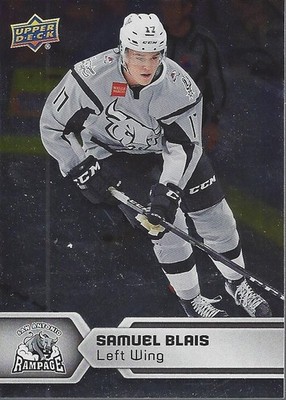 B6540- 2017-18 Upper Deck AHL Hockey Einsatz Karten -du Pick- 15 + Free US