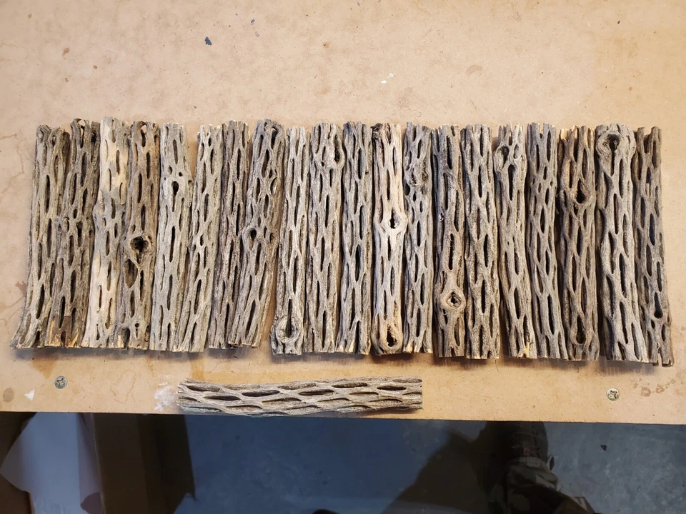 20 pcs 6" inch CHOLLA Wood Cactus | ORGANIC, Untreated | Shrimp Aquarium CRAFTS! - Image 3 of 4