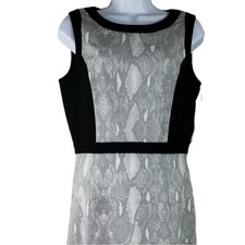 NWT Calvin Klein Women's Snake Print Dress Black Trim Tailored Lined Sz 6 Career