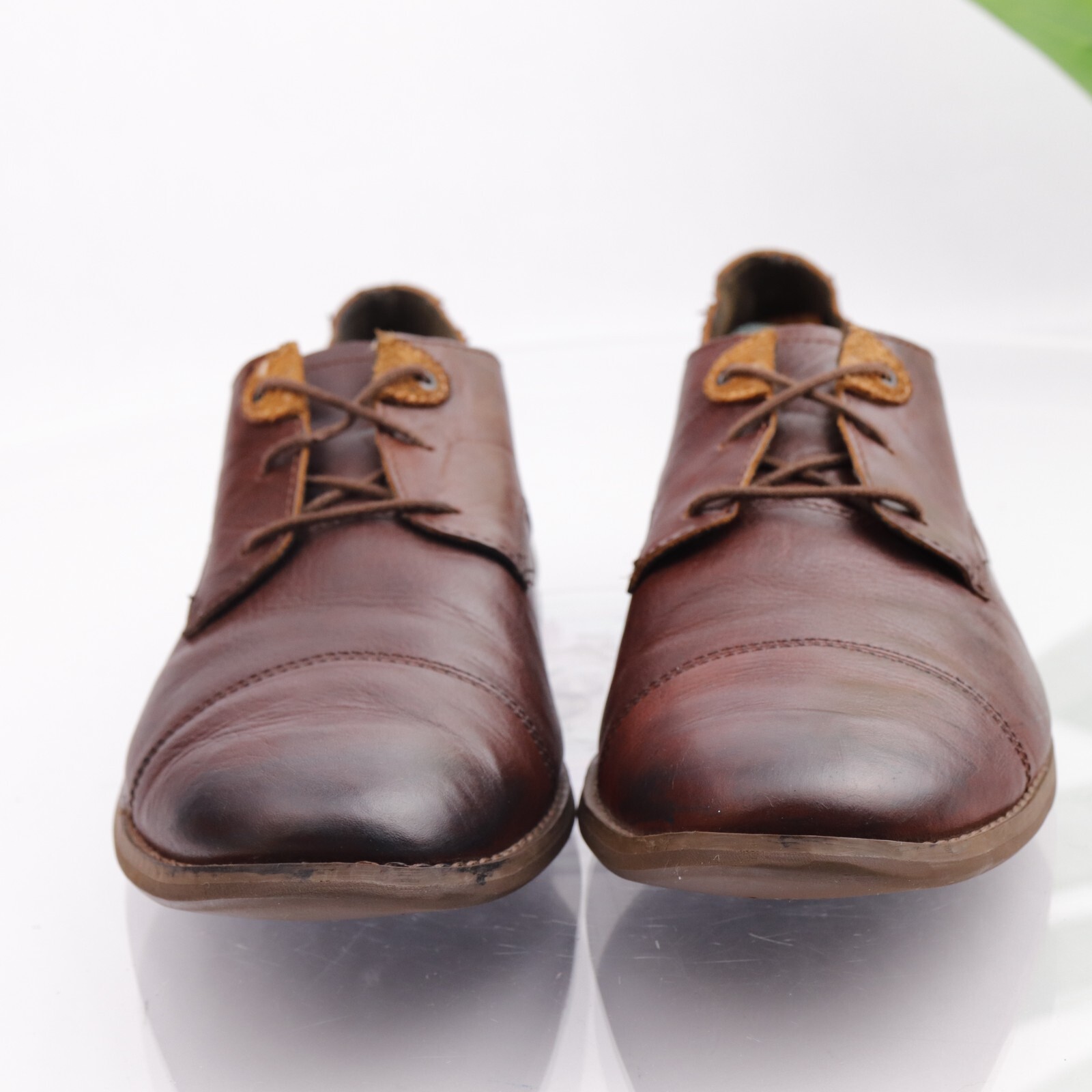 SAOLA Timberland Oxford da uomo taglia 13 ortolite marrone comfort pelle punta berretto 3 occhi