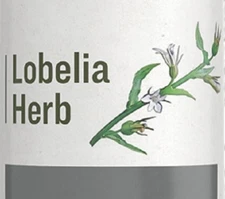 LOBELIA HERB - Potent Respiratory & Nervous System Support Tincture USA