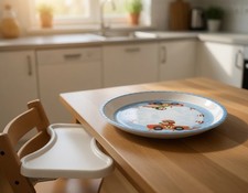 HABA Kinderteller - Flotte Flitzer - Essen Kita Kindergeschirr