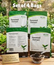 Seaweed Extract Powder Organic Fertilizer Foliar Feed & Soil Drench