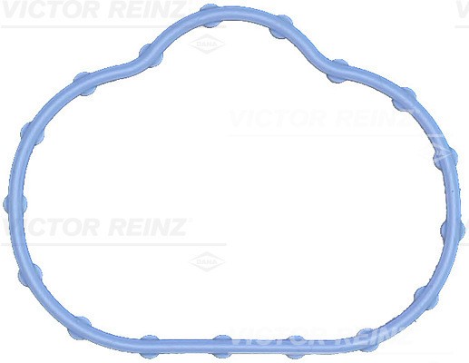 Fits REINZ 71-17497-00 Gasket, intake manifold 71-17497-00 Suction manifold gas