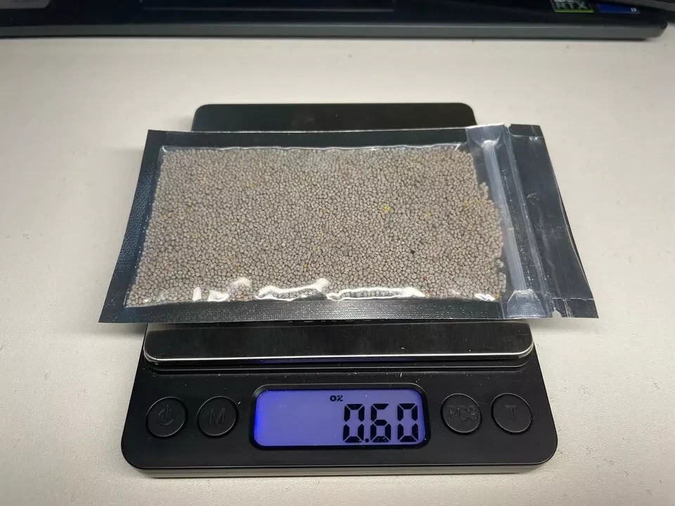 (2 Packs) Micro Clover Seeds Cover Crop Seeds / Fresh Flower 14,000–20,000 Seeds