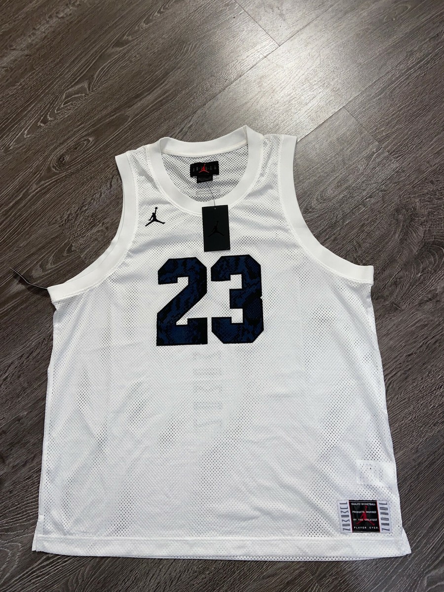 Nike Air Jordan Jumpman CI0304-100 Retro 11 Snakeskin Jersey White  